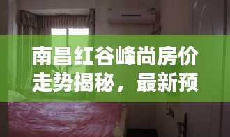 南昌红谷峰尚房价走势揭秘，最新预测分析与实时动态监测报告