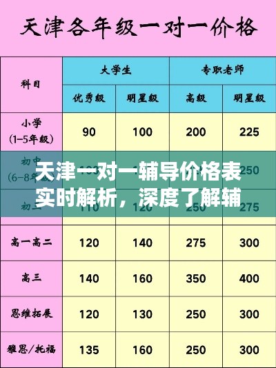 天津一对一辅导价格表实时解析，深度了解辅导费用