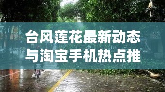 台风莲花最新动态与淘宝手机热点推荐，全面解读预警及分析
