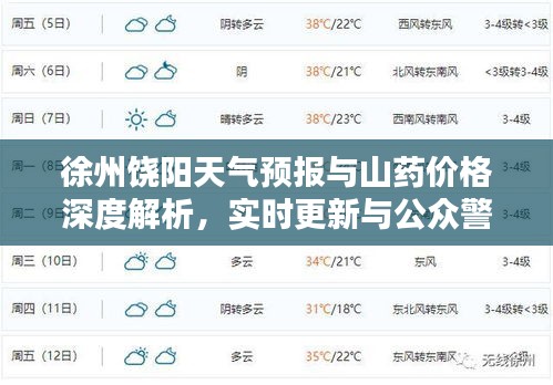 徐州饶阳天气预报与山药价格深度解析，实时更新与公众警示提醒