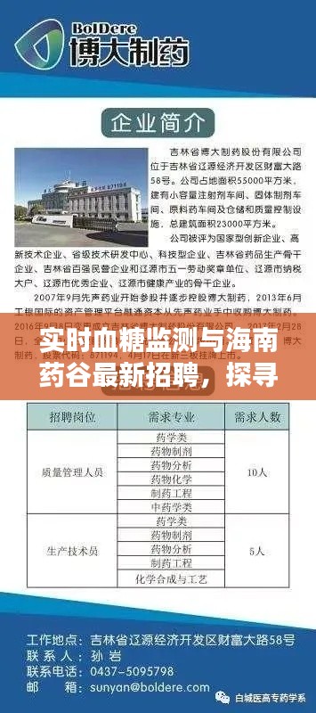 实时血糖监测与海南药谷最新招聘，探寻药厂发展新机遇