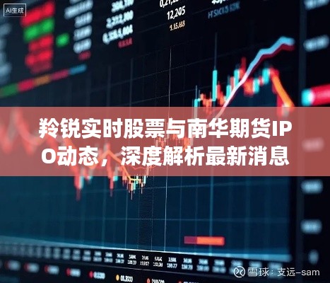 云龙井蛙