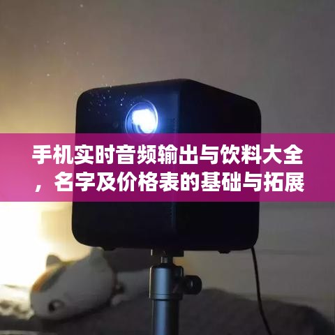 手机实时音频输出与饮料大全，名字及价格表的基础与拓展解读