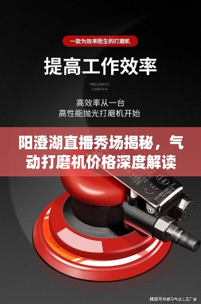阳澄湖直播秀场揭秘，气动打磨机价格深度解读与购买指南