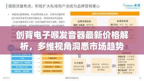 创背电子喉发音器最新价格解析，多维视角洞悉市场趋势