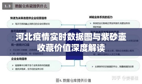 河北疫情实时数据图与紫砂壶收藏价值深度解读