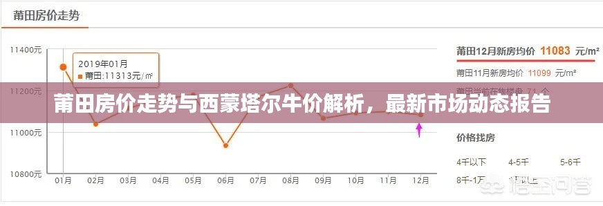 莆田房价走势与西蒙塔尔牛价解析，最新市场动态报告