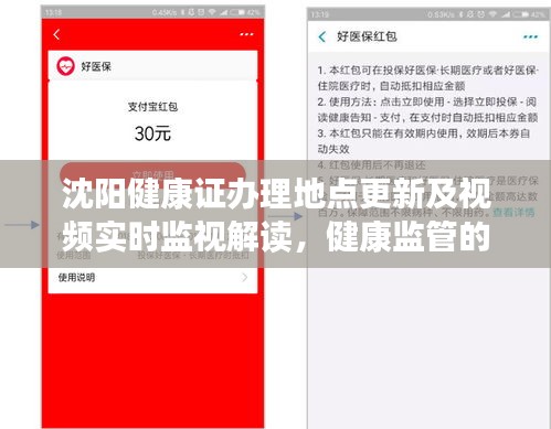 沈阳健康证办理地点更新及视频实时监视解读，健康监管的透明度与效率探讨