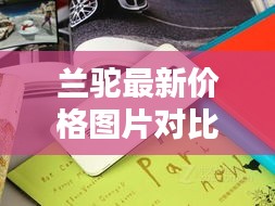 兰驼最新价格图片对比小米手机，超值性价比推荐