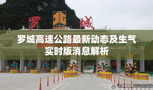 行疾如飞