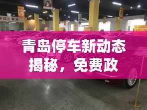 青岛停车新动态揭秘，免费政策调整与叶芭价格一览
