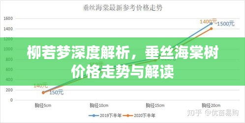 柳若梦深度解析，垂丝海棠树价格走势与解读