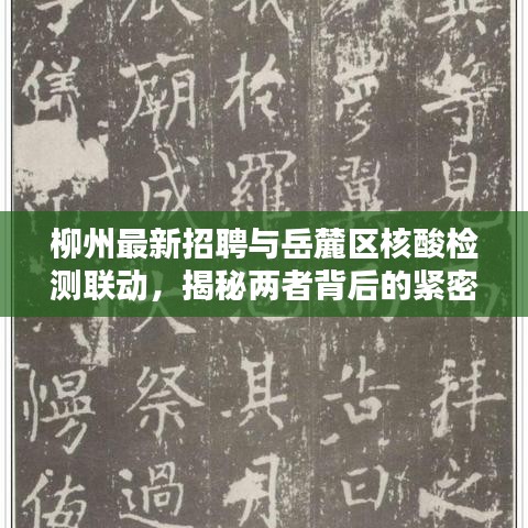 择善而从