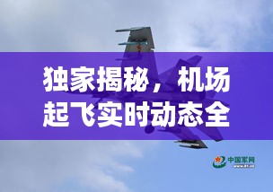 春蛙秋蝉