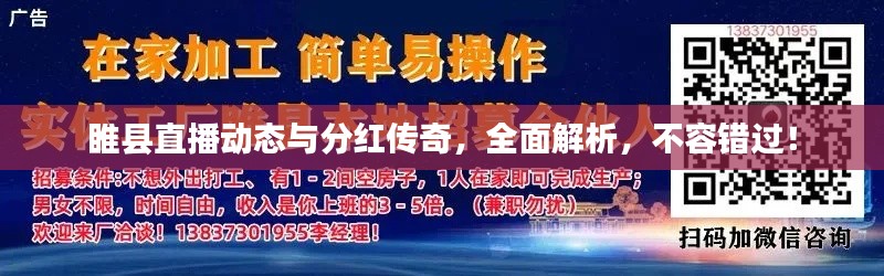 睢县直播动态与分红传奇，全面解析，不容错过！