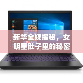 新华全媒揭秘，女明星肚子里的秘密与实时显卡深度测评