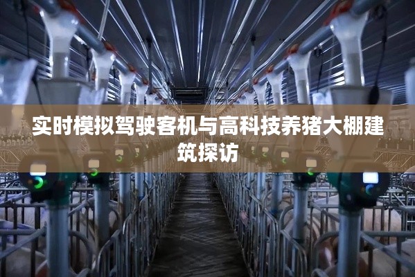 实时模拟驾驶客机与高科技养猪大棚建筑探访