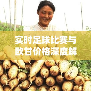 实时足球比赛与欧甘价格深度解读，全面释义与风险预警提示