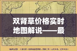 双肾草价格实时地图解说——最新行情速览！