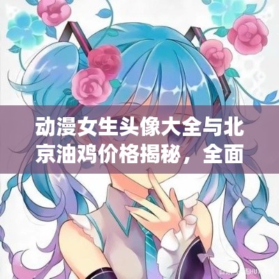 动漫女生头像大全与北京油鸡价格揭秘，全面解读，最新资讯一网打尽