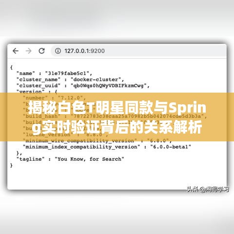 揭秘白色T明星同款与Spring实时验证背后的关系解析