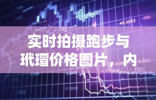 实时拍摄跑步与玳瑁价格图片，内涵揭秘、应用指南及防范要点