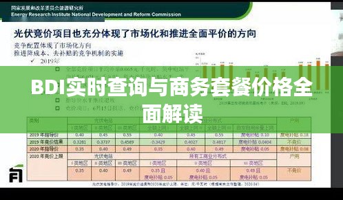 BDI实时查询与商务套餐价格全面解读