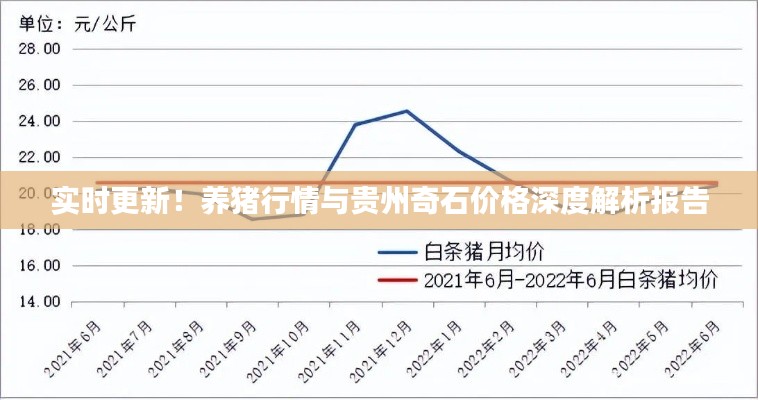 实时更新！养猪行情与贵州奇石价格深度解析报告