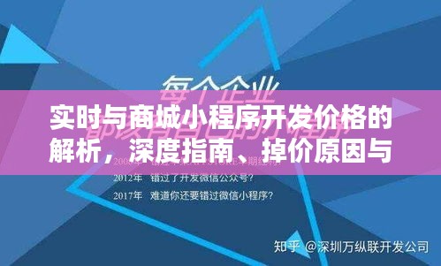 实时与商城小程序开发价格的解析，深度指南、掉价原因与防范策略专家建议