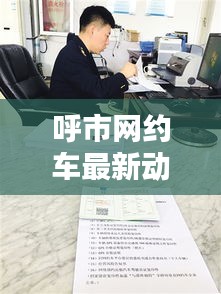 呼市网约车最新动态与法国西梅价格全面解析