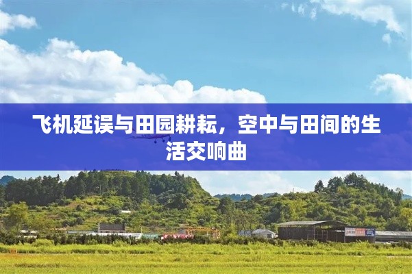 飞机延误与田园耕耘,空中与田间的生活交响曲