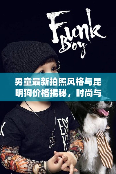 男童最新拍照风格与昆明狗价格揭秘，时尚与宠物的完美交融