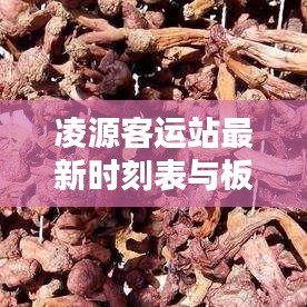 凌源客运站最新时刻表与板桥青龙街实时画面图全解析