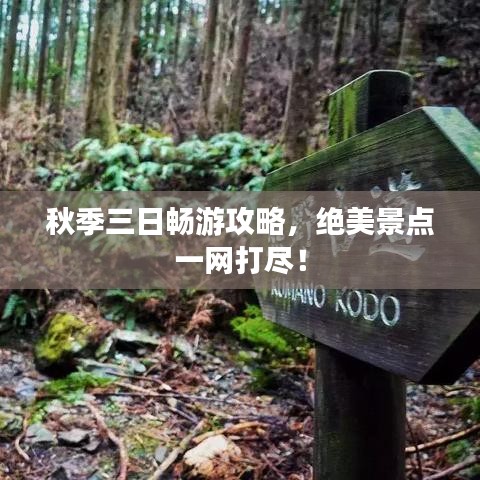 秋季三日畅游攻略，绝美景点一网打尽！