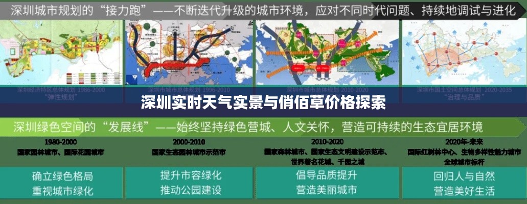 深圳实时天气实景与俏佰草价格探索