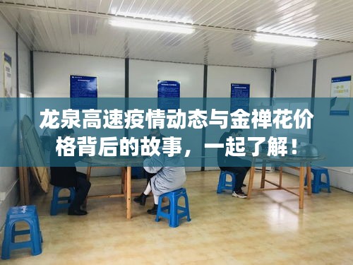 龙泉高速疫情动态与金禅花价格背后的故事，一起了解！