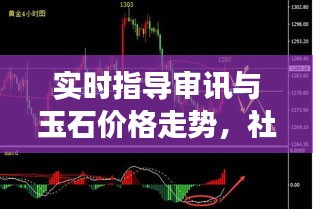 实时指导审讯与玉石价格走势，社会观察下的深度解读
