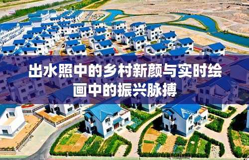 出水照中的乡村新颜与实时绘画中的振兴脉搏