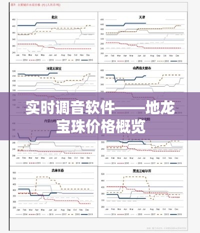 实时调音软件——地龙宝珠价格概览