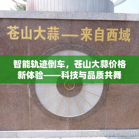 智能轨迹倒车，苍山大蒜价格新体验——科技与品质共舞