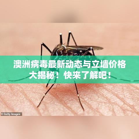 澳洲病毒最新动态与立墙价格大揭秘！快来了解吧！