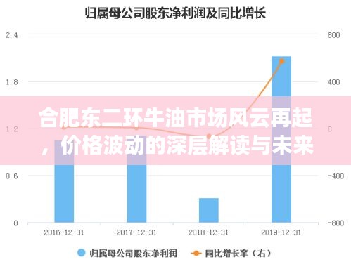 合肥东二环牛油市场风云再起，价格波动的深层解读与未来展望
