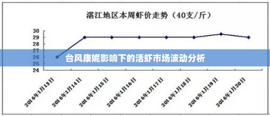 台风康妮影响下的活虾市场波动分析