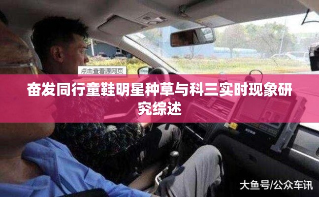 奋发同行童鞋明星种草与科三实时现象研究综述
