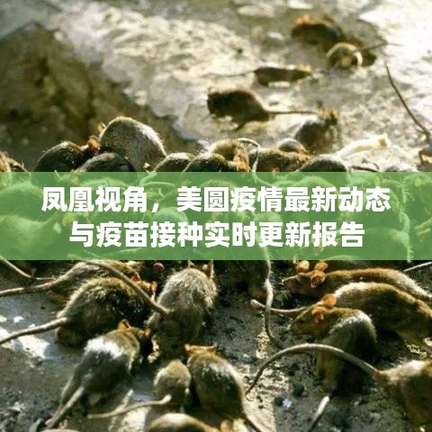 凤凰视角，美圆疫情最新动态与疫苗接种实时更新报告