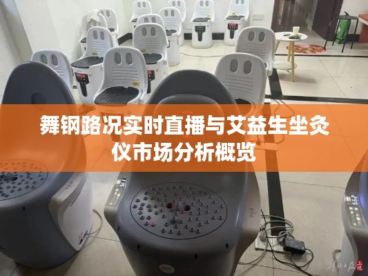 舞钢路况实时直播与艾益生坐灸仪市场分析概览