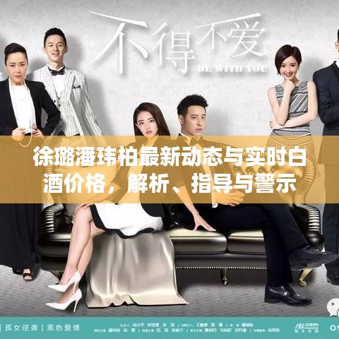 徐璐潘玮柏最新动态与实时白酒价格，解析、指导与警示