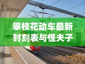 攀枝花动车最新时刻表与怪夫子作品价格，文化与交通的交融探索