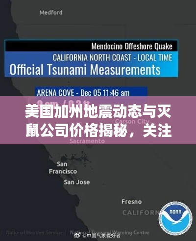 美国加州地震动态与灭鼠公司价格揭秘，关注焦点全解析！
