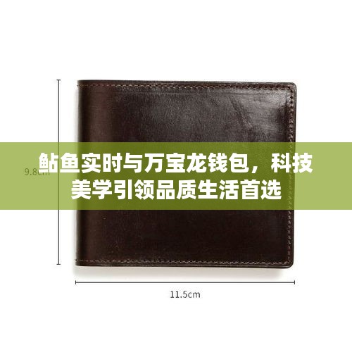 鲇鱼实时与万宝龙钱包，科技美学引领品质生活首选
